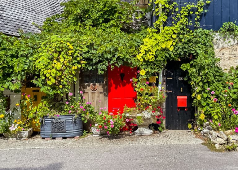 Elora-doorways-covered-in-vines