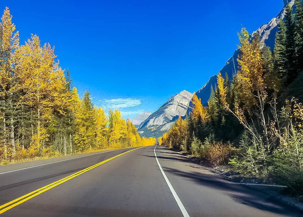 Things-to-do-in-Alberta-Icefields-Parkway