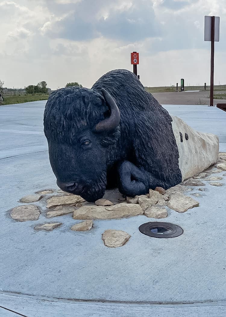 Wanuskewin-Bison-statue-in-ground