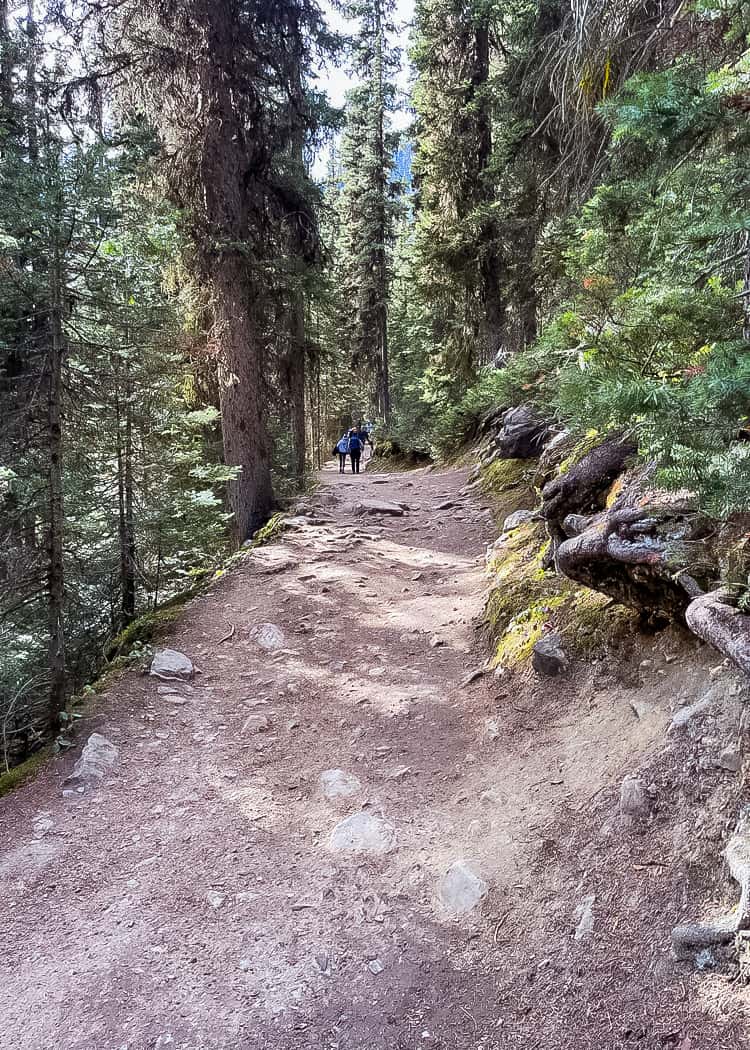 Hiking-Lake-Louise-Lake-Agnes-trail