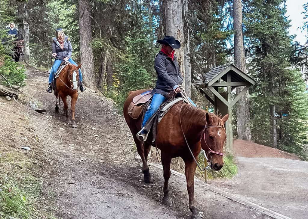 Lake-Agnes-Tea-House-Hike-Horse-trail-near-Trailhead