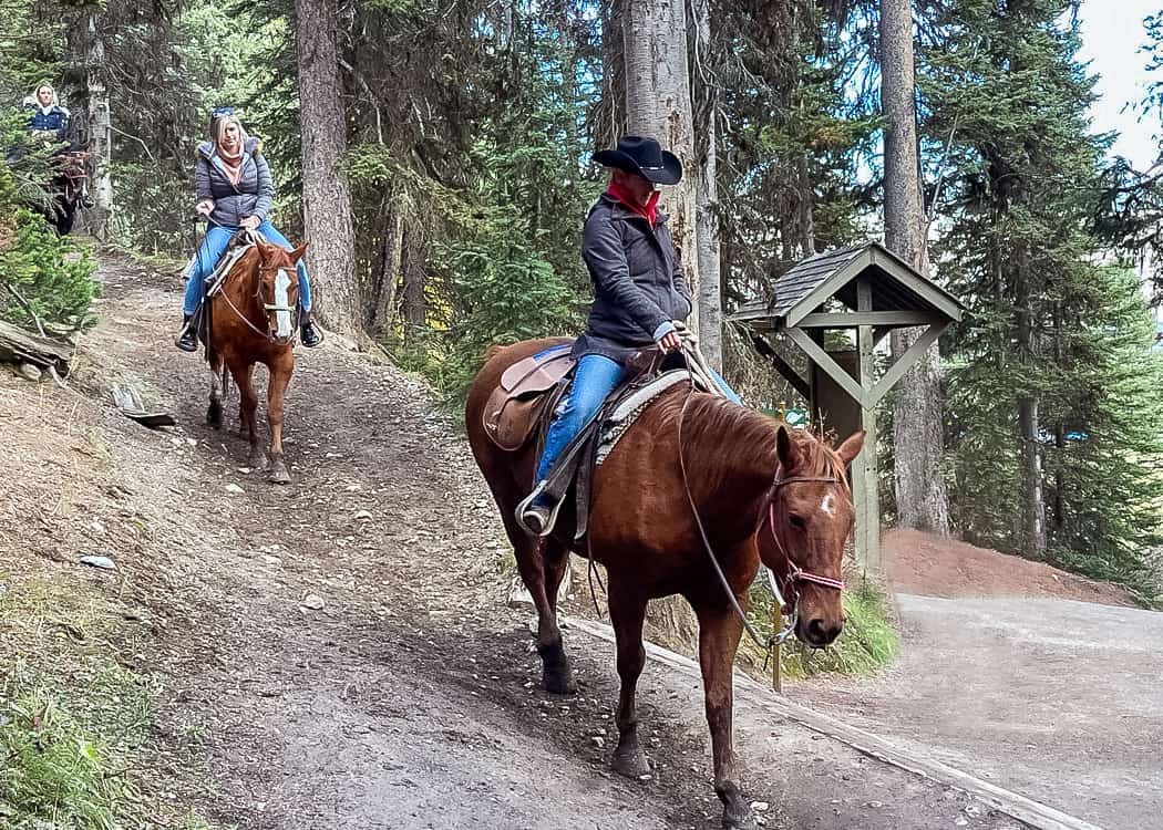 Lake-Agnes-Tea-House-Hike-Horse-trail-near-Trailhead