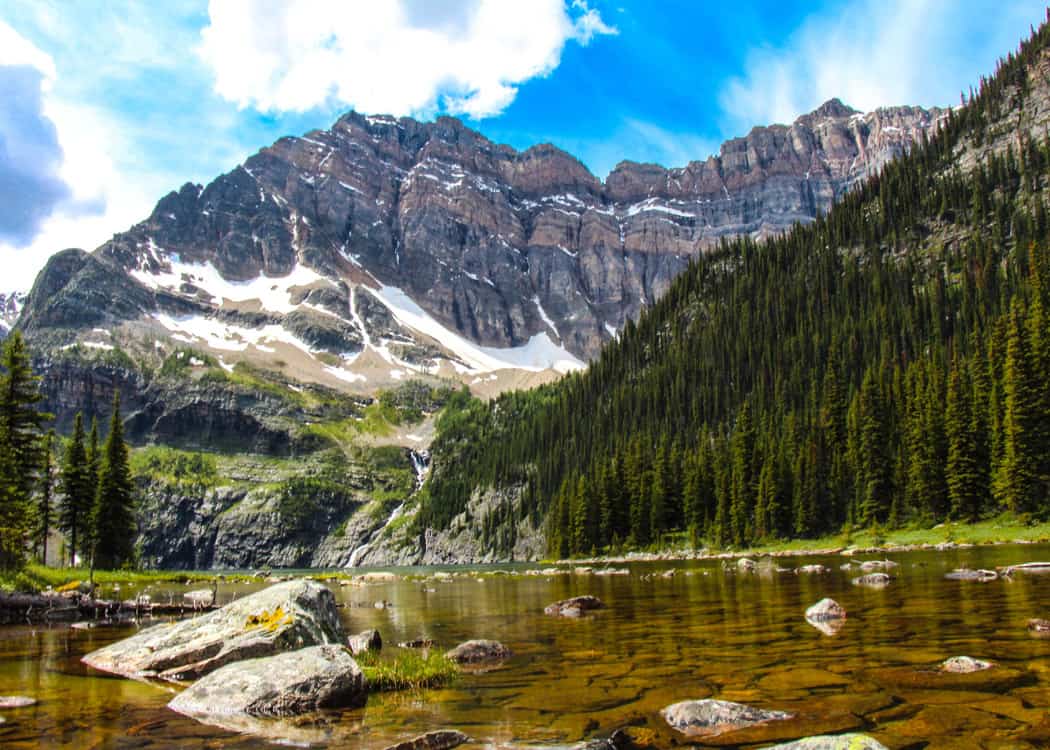 Kootenay-National-Park-lush-forest