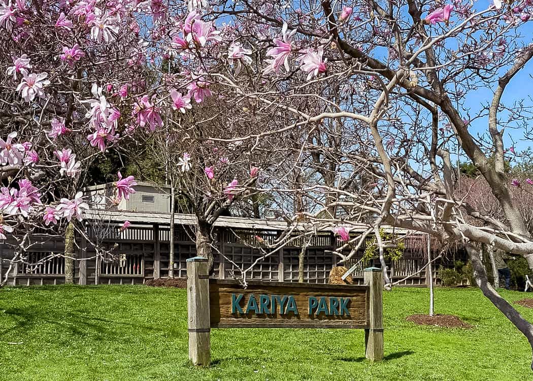 Kariya-Park-sign-with-flowers