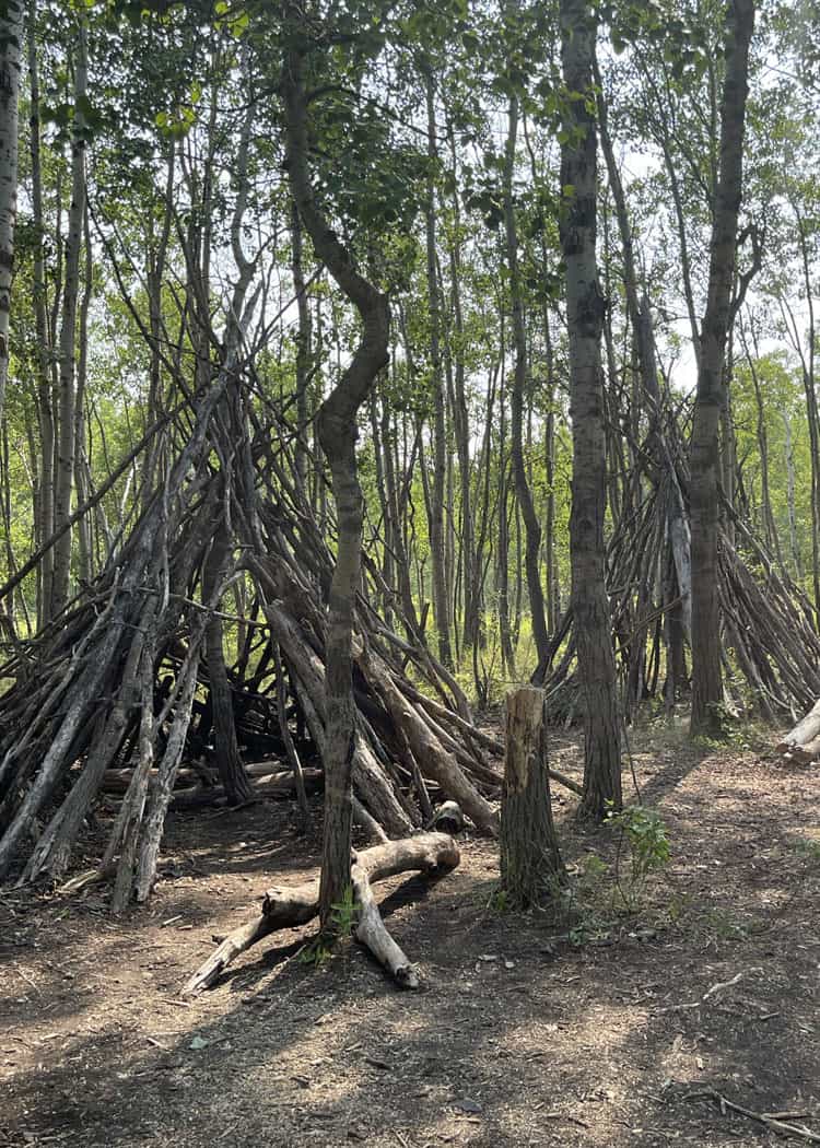 Winnipeg-FortWhyte-Alive-teepees