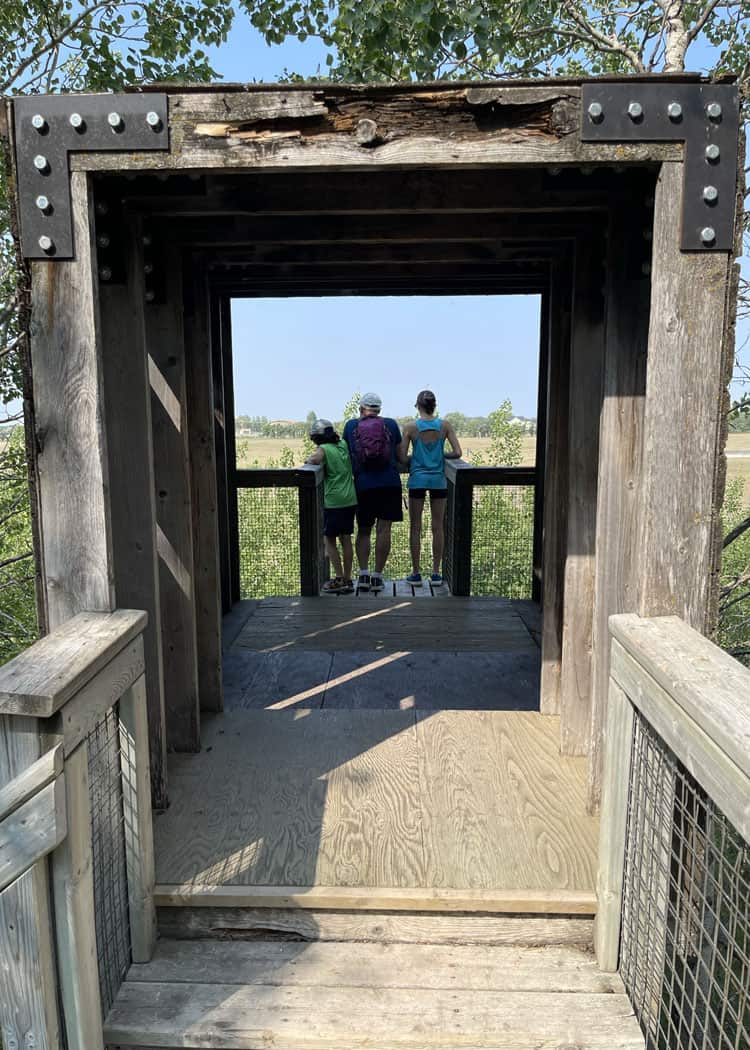 Winnipeg-FortWhyte-Alive-tree-house-view