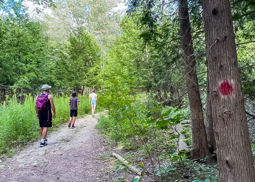 Elora Hiking - trail marking on tree