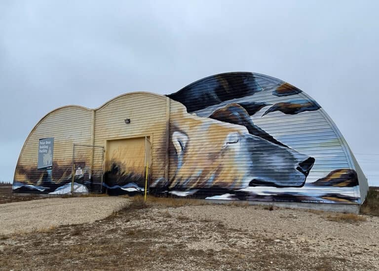 Polar Bear Holding Facility
