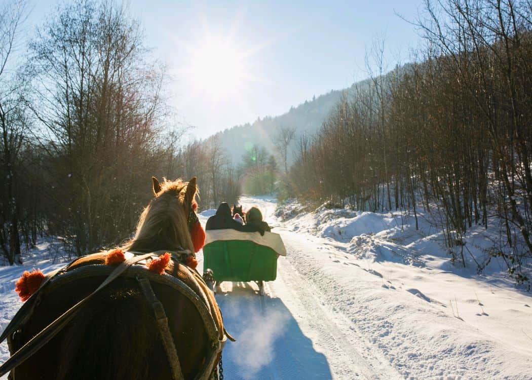 Muskoka in Winter - Horse-Drawn Sleigh