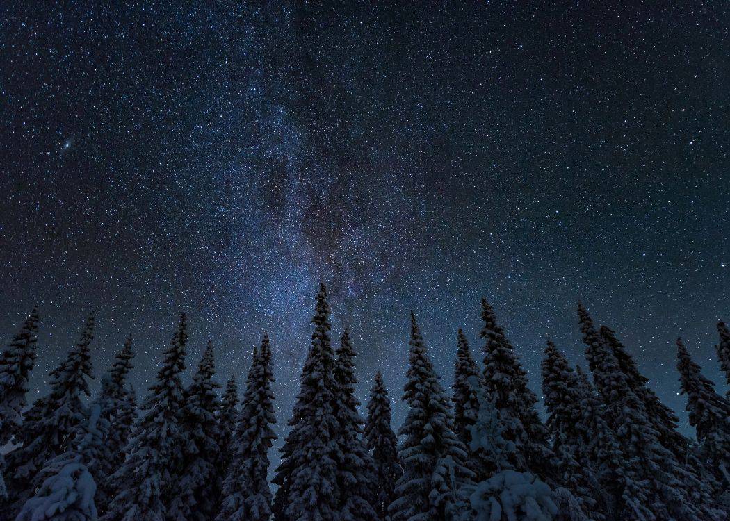 Winter Starry Night Sky
