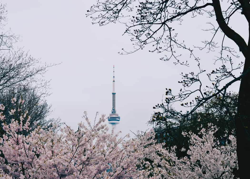 Trinity-Bellwoods-Park-with-CN-Tower