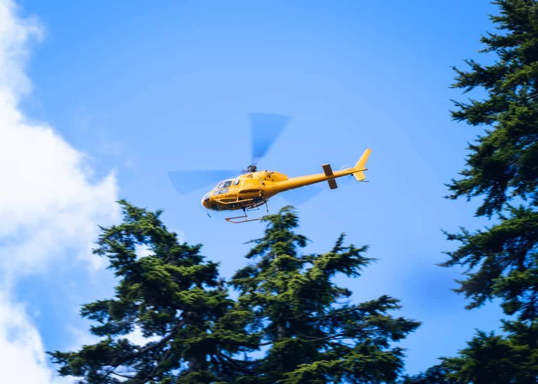 yellow-heli-flying-over-pines