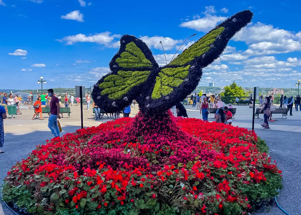Quebec-Butterfly-sculpture-with-flowers