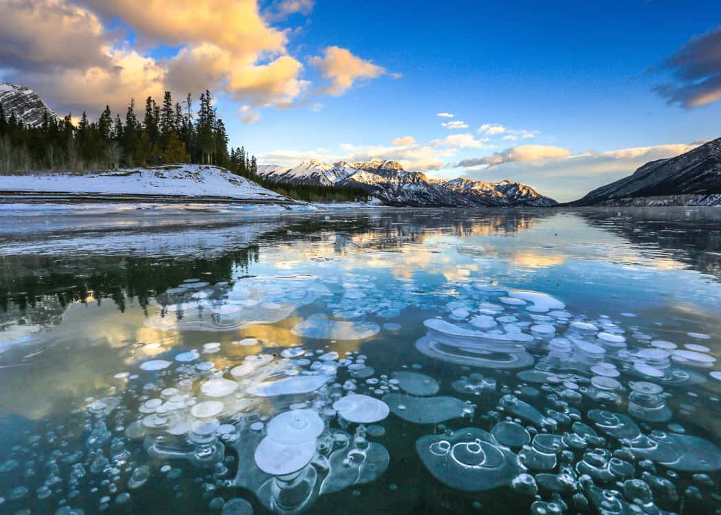 Winter-Helicopter-Tours-in-Jasper-Abraham-Lake-Ice-Bubbles