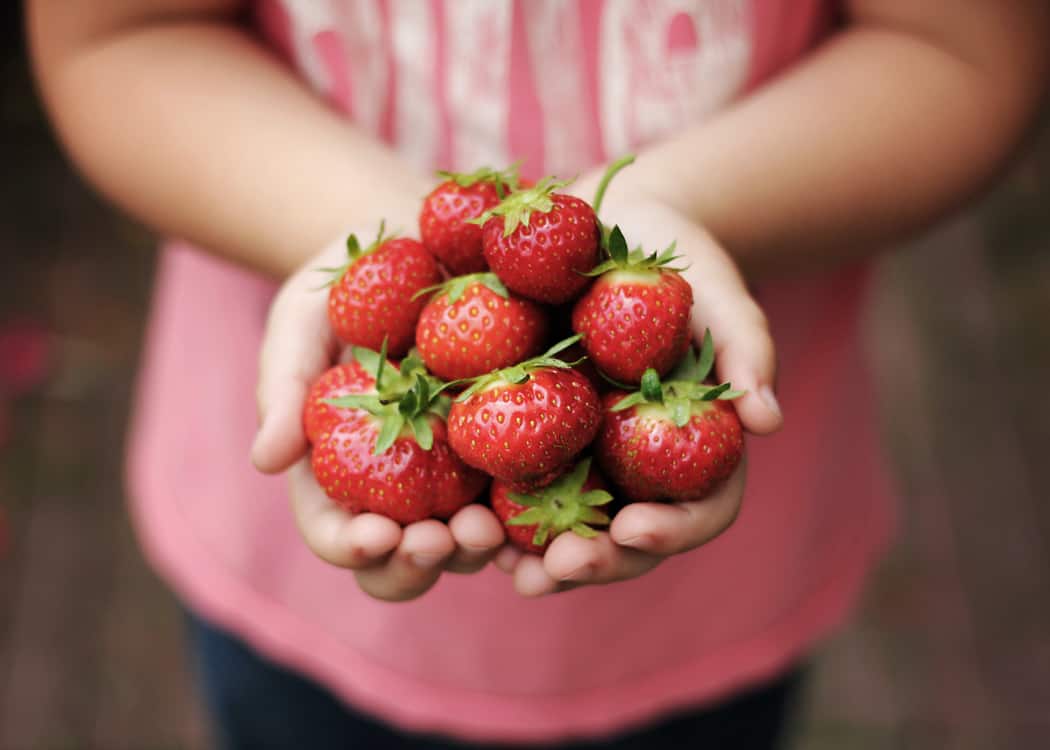 girl-in-pink-shirt-holding-handful-of-strawberries