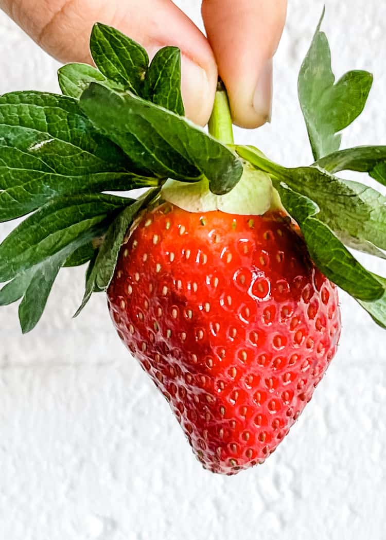 hand-holding-strawberry-by-the-stem