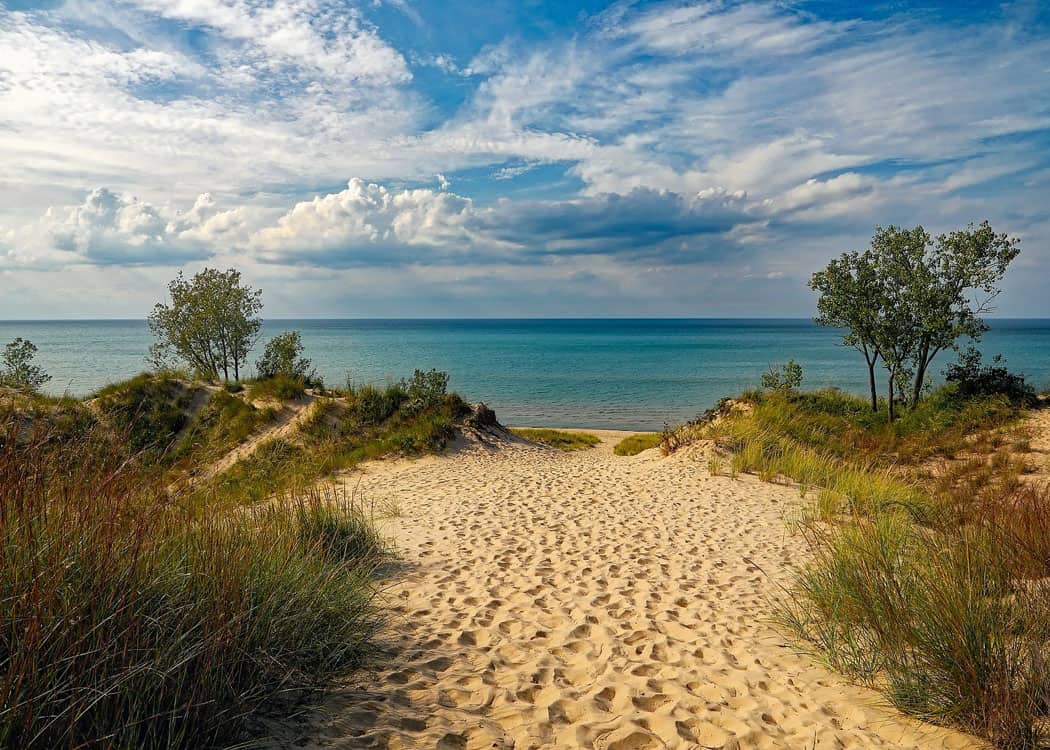 Sharks-in-the-Great-Lakes-Indiana-Dunes-National-park-walkway