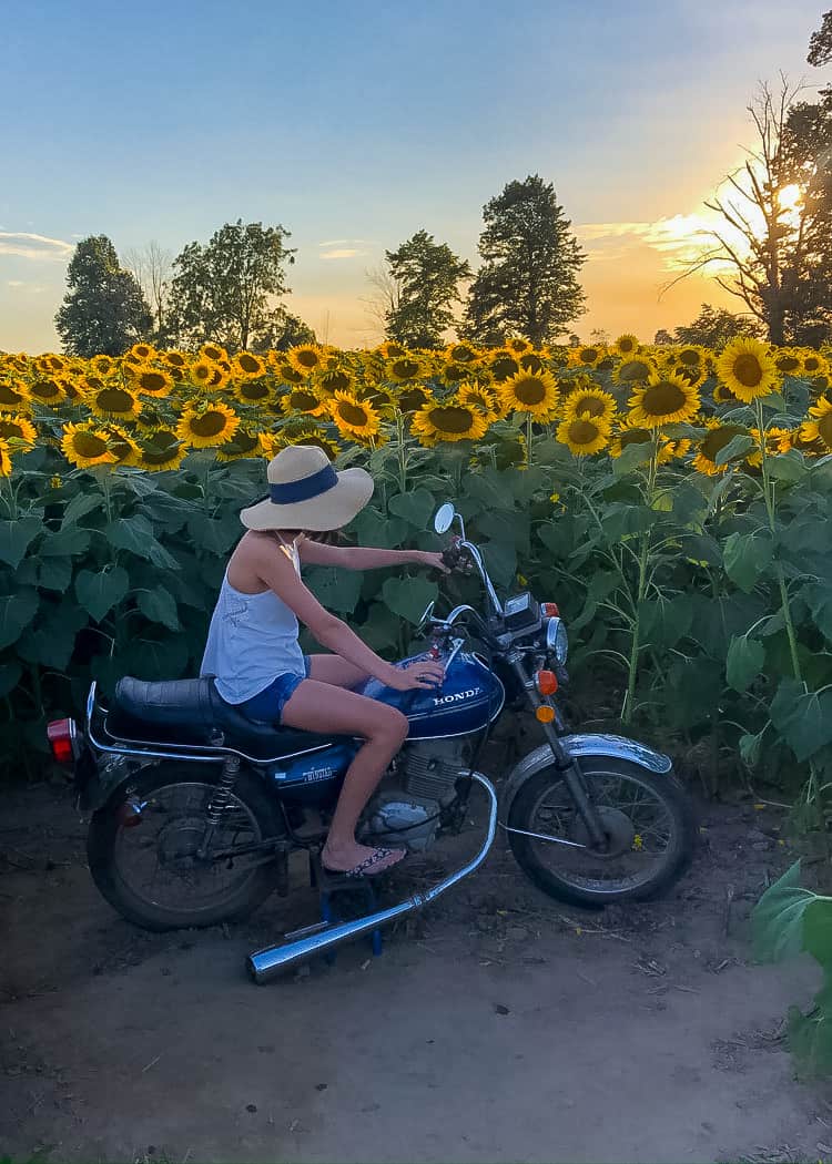 Sunflower-Bike-with-girl