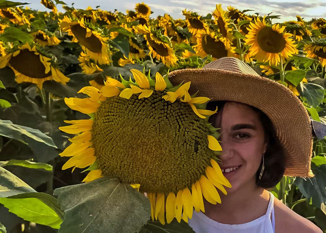 Sunflower-Covering-girls-Face