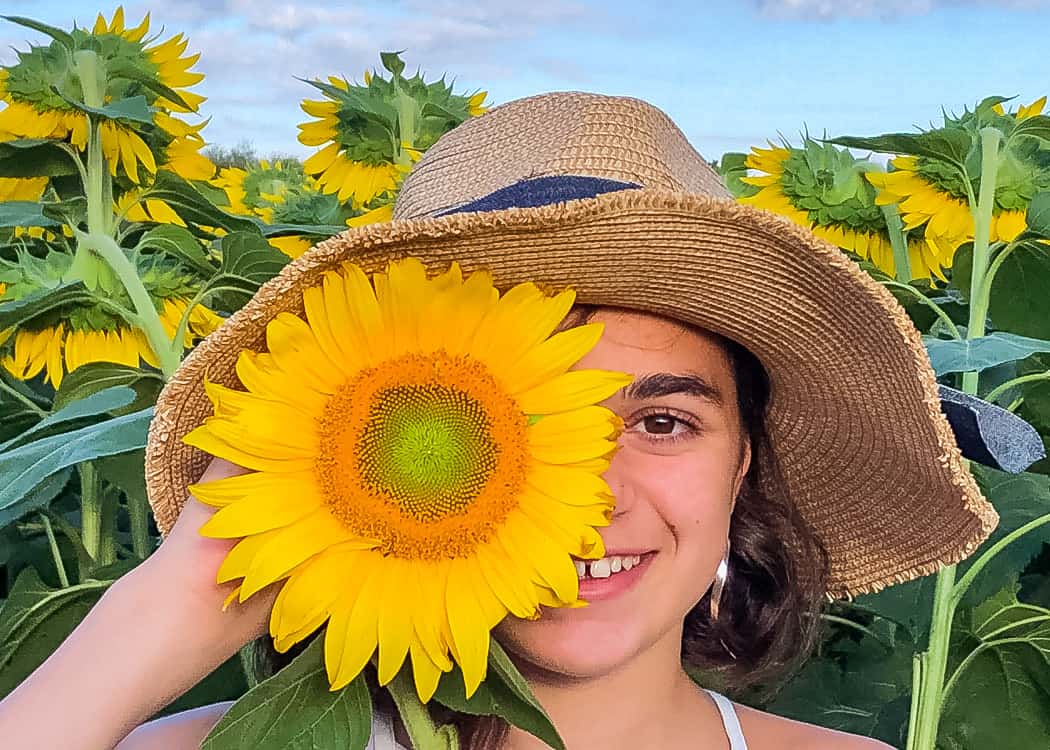 Sunflower-Covering-half-of-girls-face