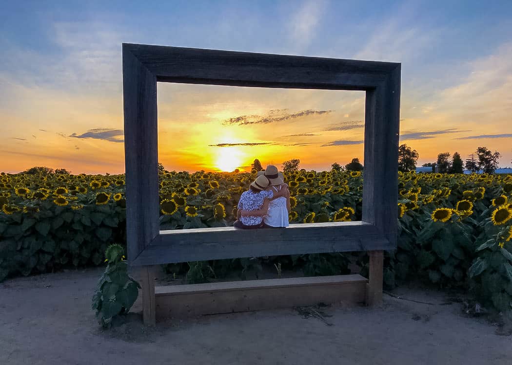 Sunflower-Frame-with-kids-facing-sunset