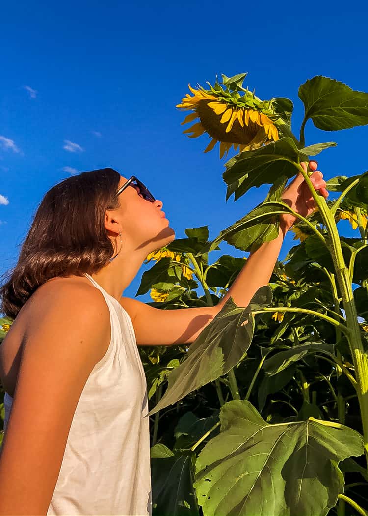 Sunflower-Girl-Looking-Up