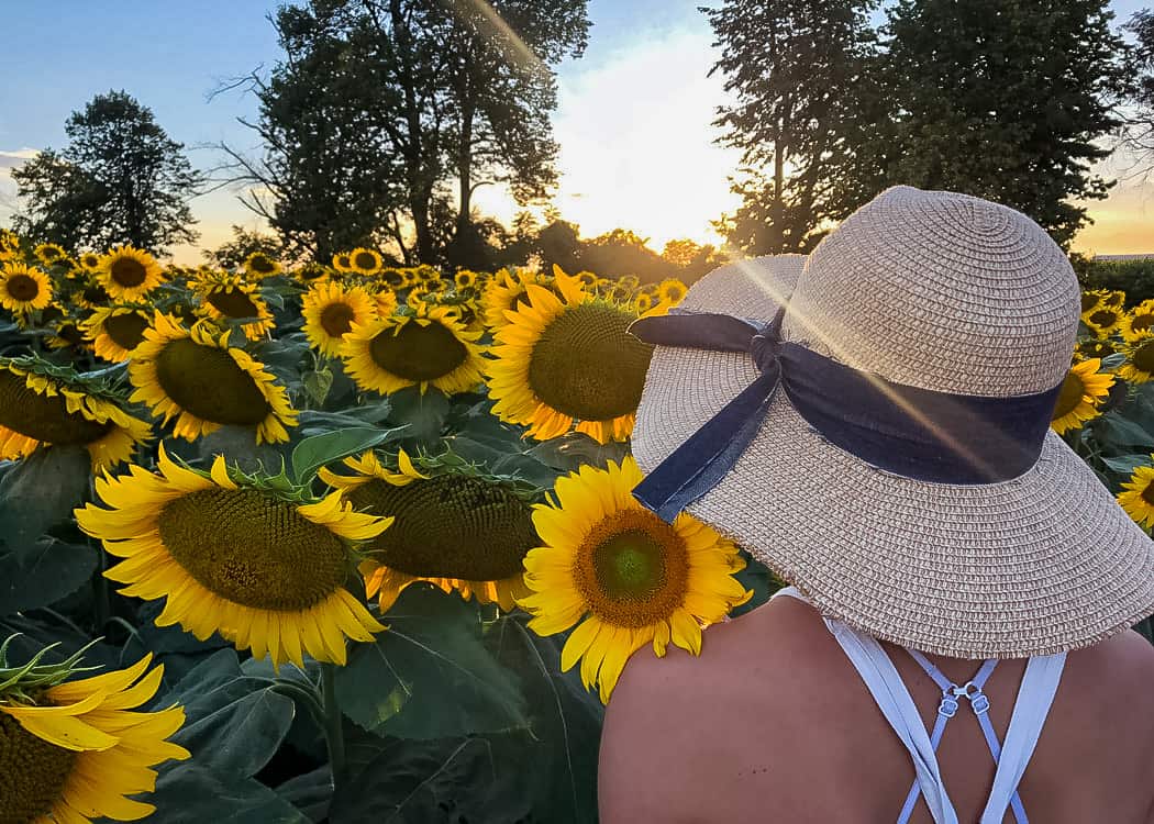 Sunflower-Girl-with-Hat