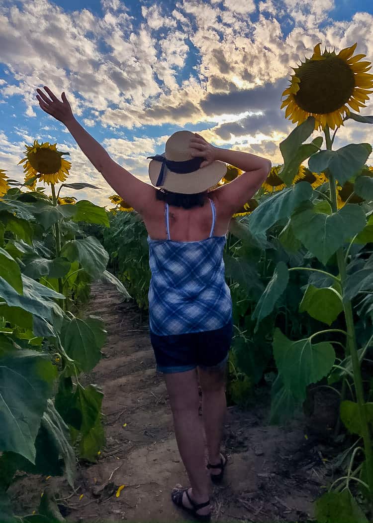 Sunflower-Lady-in-Field