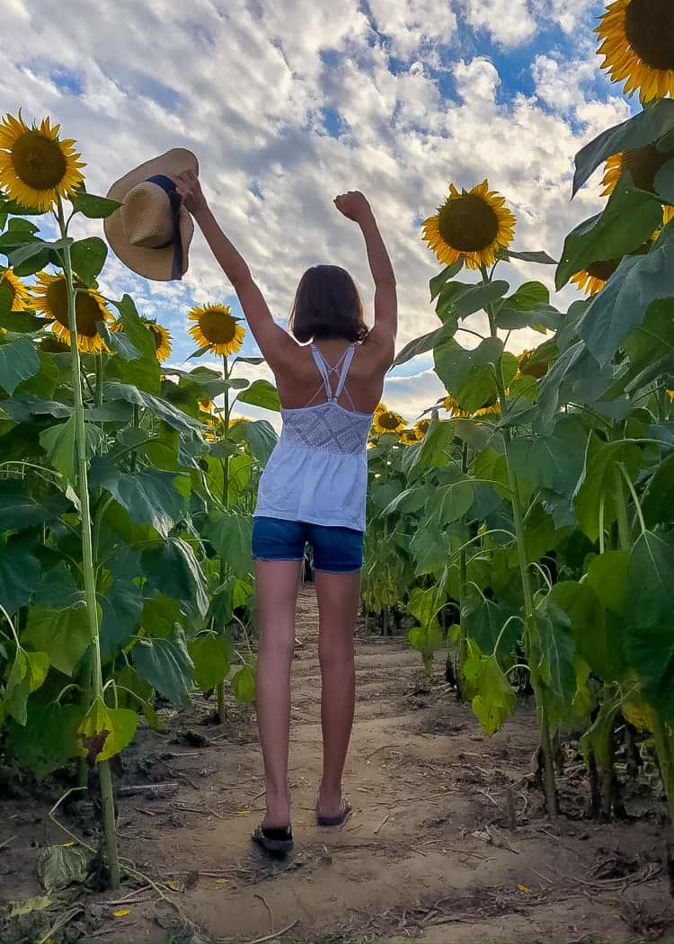 Sunflower-girl-wandering-on-path