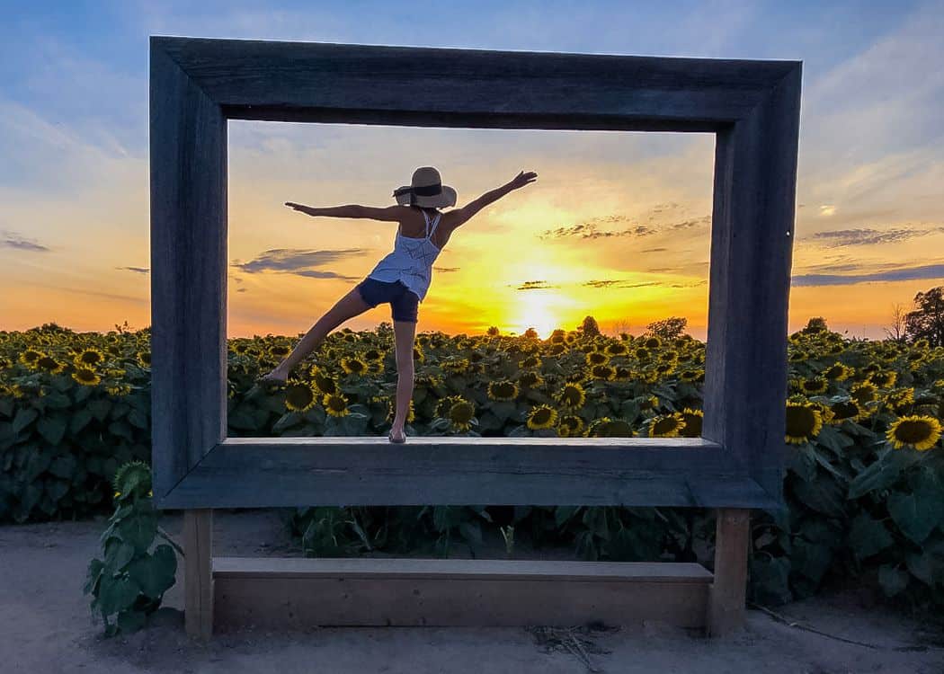 Sunflowers-Girl-posing-in-Frame-at-sunset