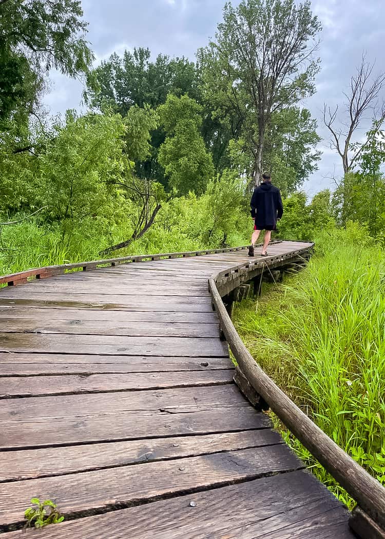 Point-Pelee-National-Park-Delaurier-Trail-boardwalk