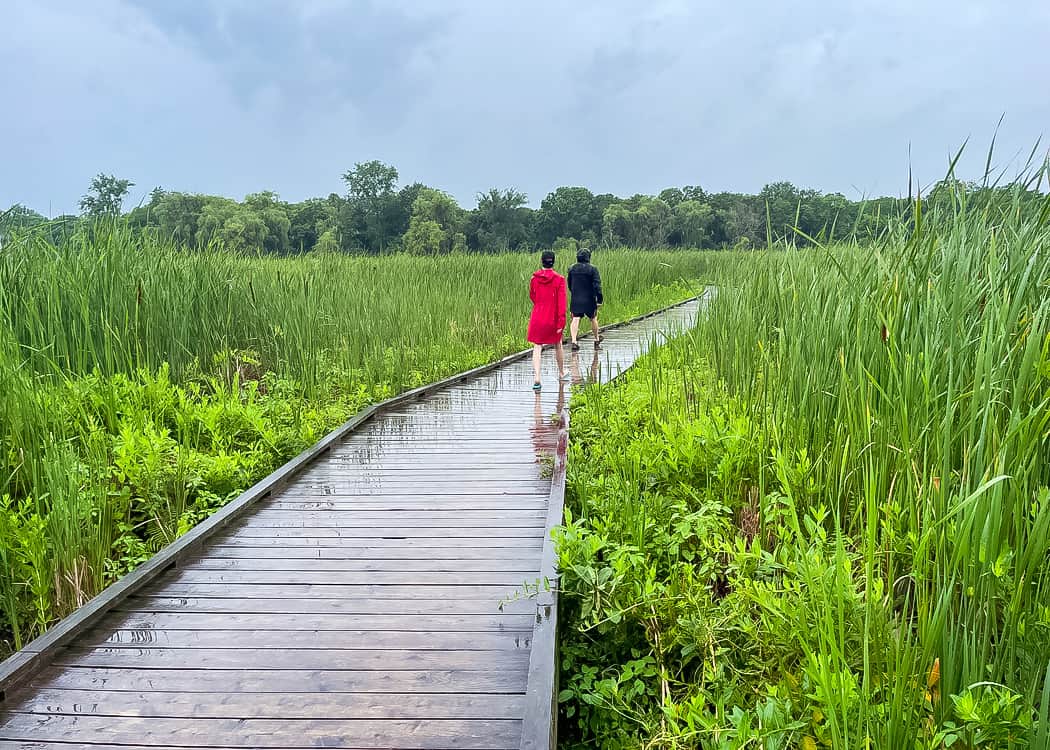Family-walking-along-Marsh-Boardwalk