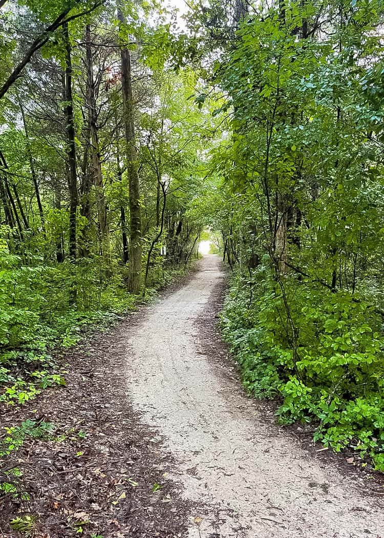 Point-Pelee-National-Park-Forested-Trail