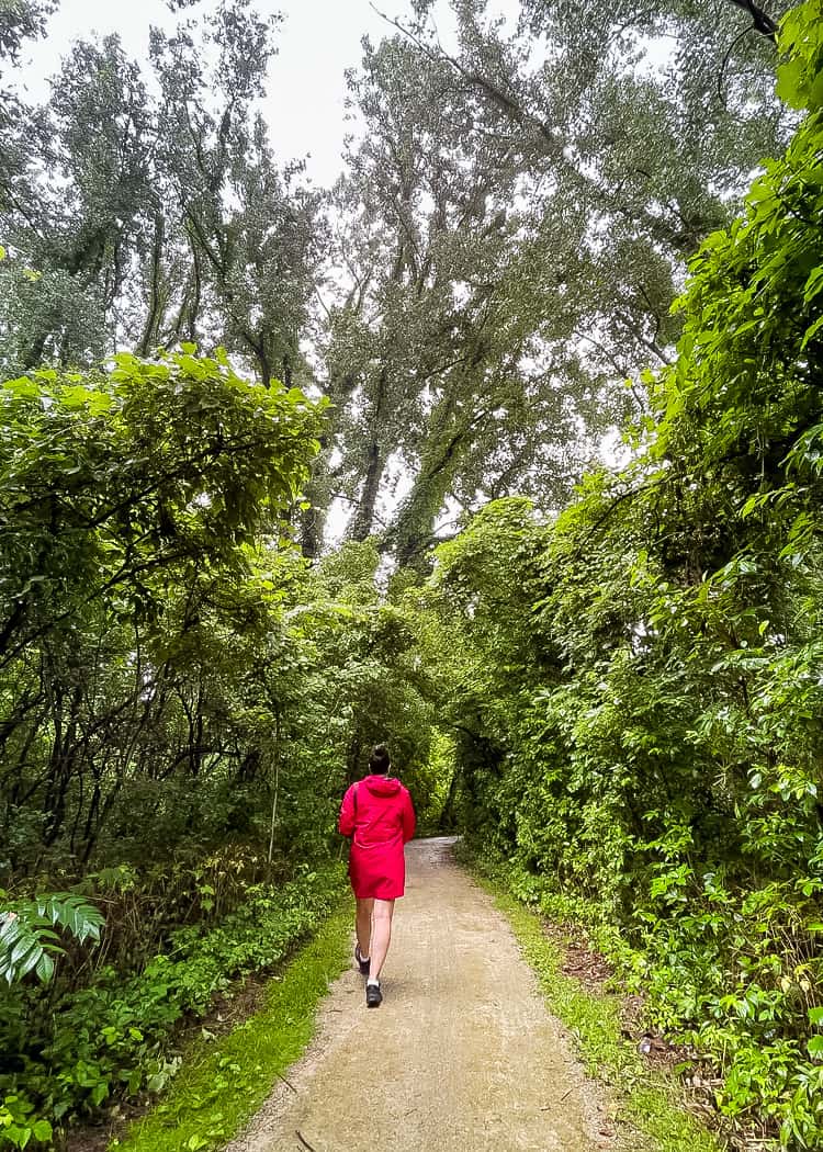 Point-Pelee-National-Park-Hiking-on-Delaurier-Trail