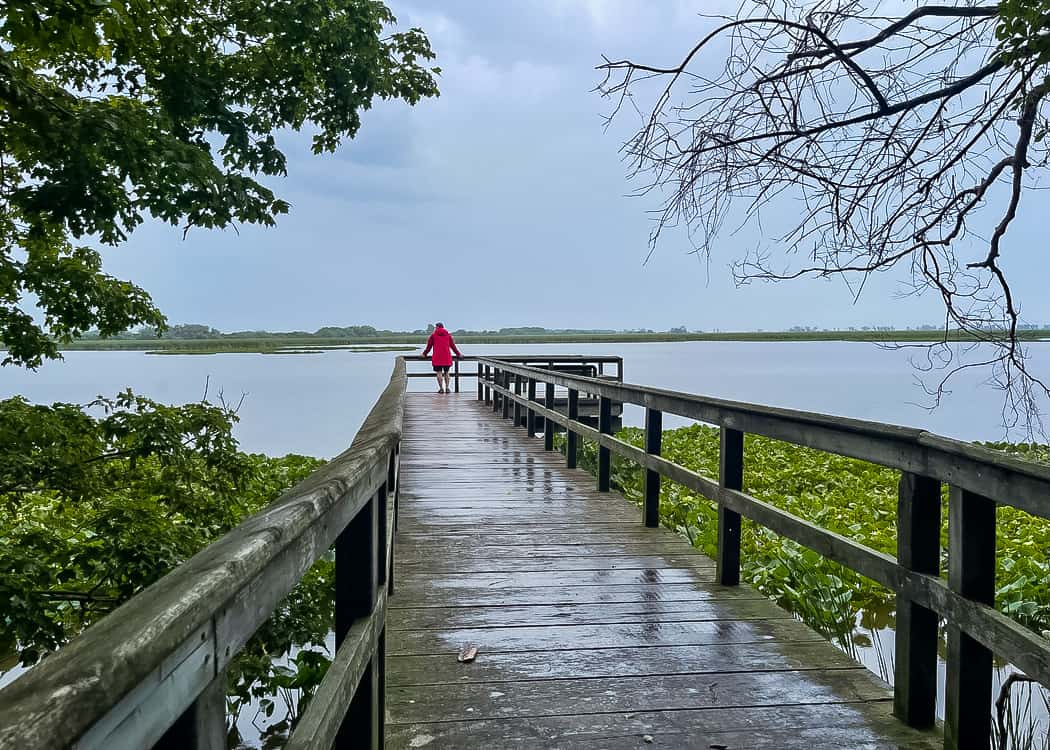 Point-Pelee-National-Park-Lookout-Point
