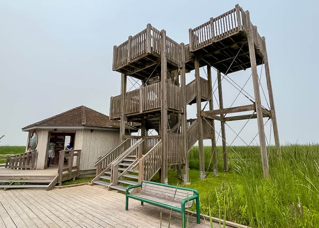 Point-Pelee-National-Park-Marsh-Boardwalk-Lookout