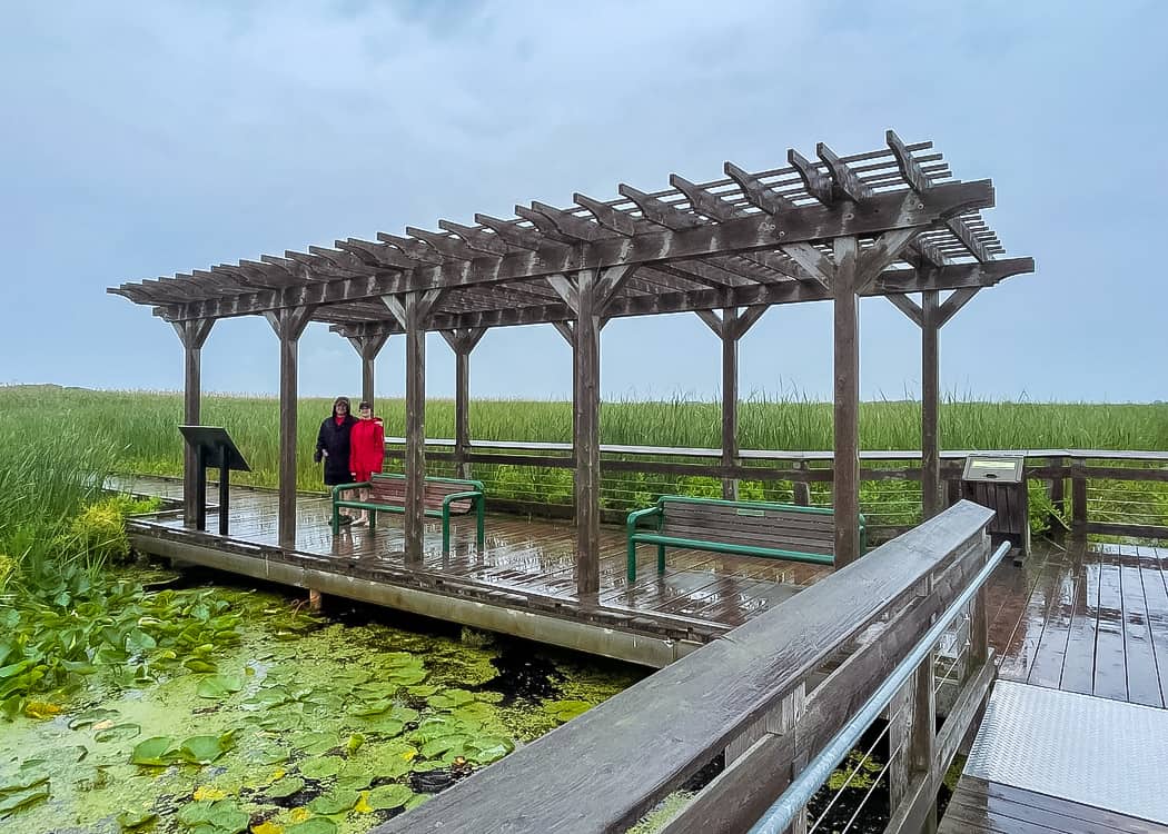 Point-Pelee-National-Park-Marsh-Boardwalk-Pergola