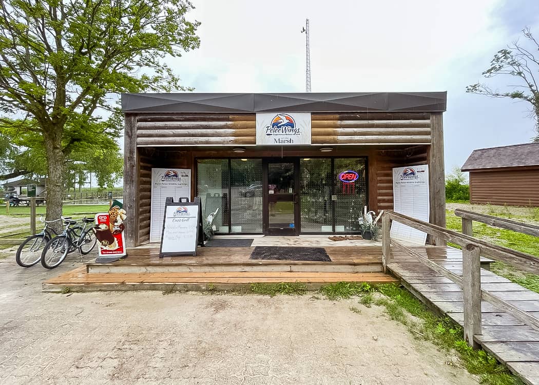 Pelee-Wings-at-the-Marsh-Boardwalk