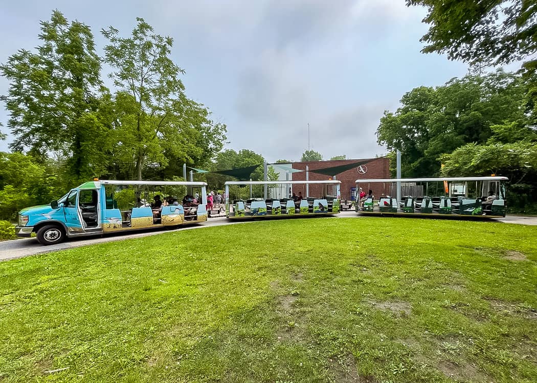 Point-Pelee-National-Park-Tip-Shuttle