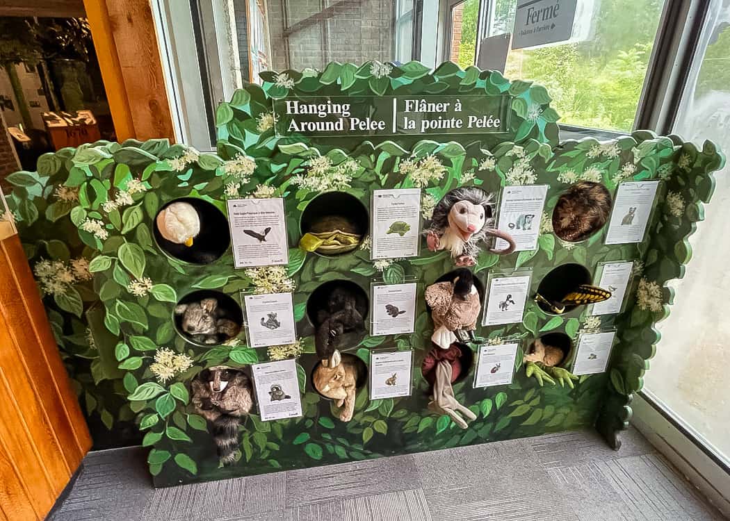 Point-Pelee-National-Park-Visitors-Centre-kids-area