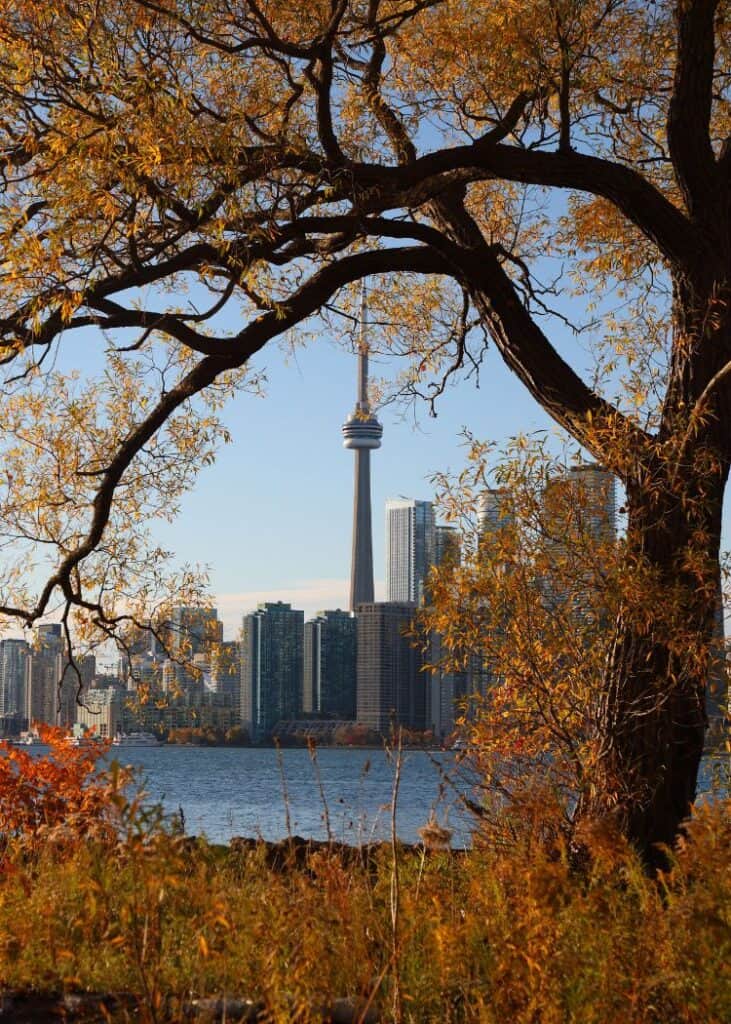 Toronto-in-Fall-CN-Tower-with-fall-foliage