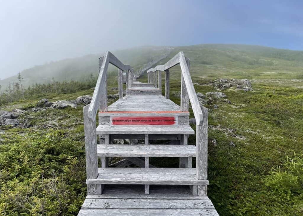 Labrador-Tracey-Hill-Walking-Trail